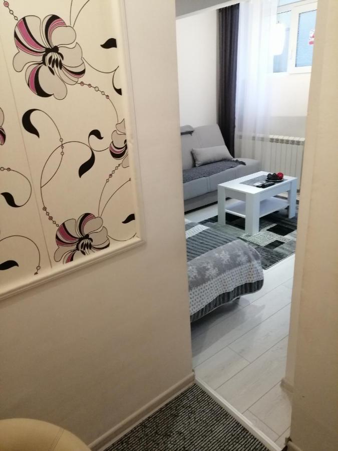 Studio Apartman Kocka بلغراد المظهر الخارجي الصورة